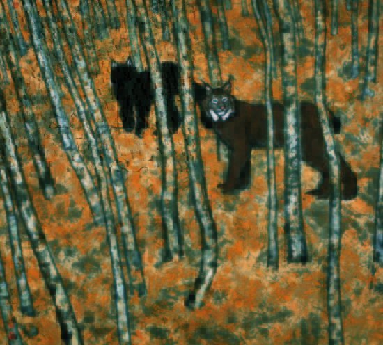 《不再回首》曾迎春