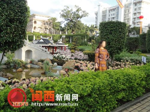 龍巖菊花展覽現不文明行為 菊花展變“菊花劫”(圖2) 一位市民越過綠化帶,踩到花叢中拍照