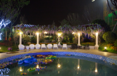 南陽重磅新聞!3月19日恒大帝景城市展廳華麗綻