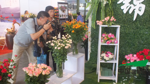 第十七屆昆明國(guó)際花卉展成功舉辦(圖3)