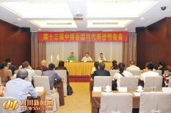 第十三屆中博會在廣州開幕 69家川企亮相展