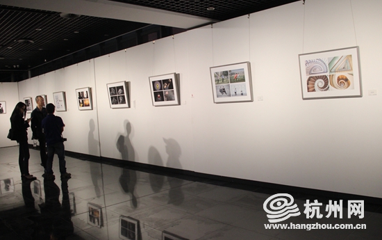 浙江省第十六屆攝影藝術展在麗水美術館隆重開幕 浙江省第十六屆攝影藝術展在麗水美術館隆重開幕