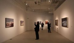 我們?yōu)楹稳狈?yōu)質(zhì)展覽資源