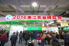 看展覽、嘗美食、囤年貨 2016浙江農(nóng)博會(huì)